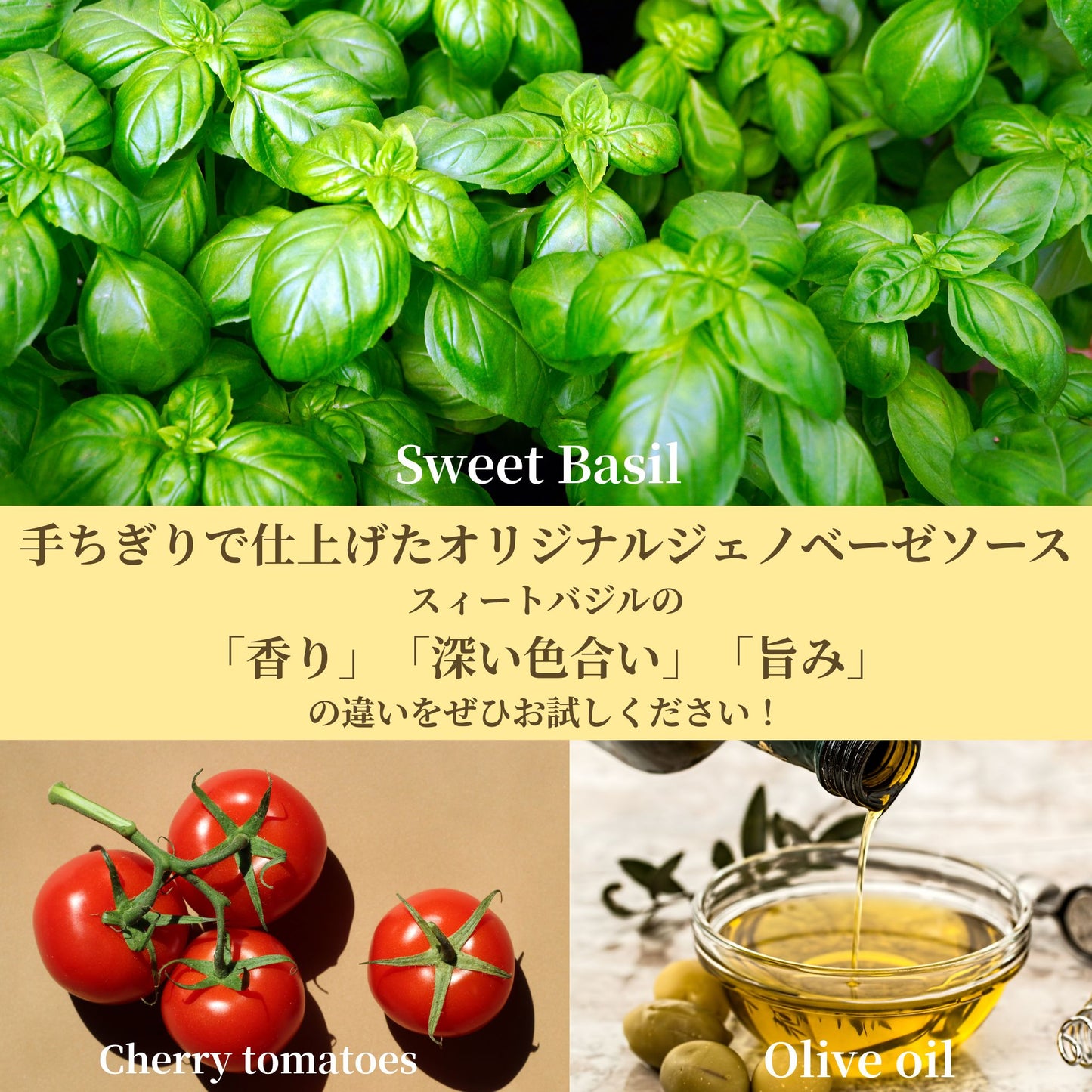 【送料込みギフト】ジェノバ（Genova）４枚セット